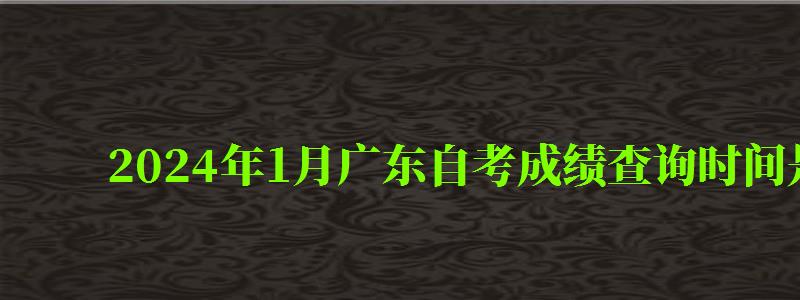 2024年1月广东自考成绩查询时间是多久