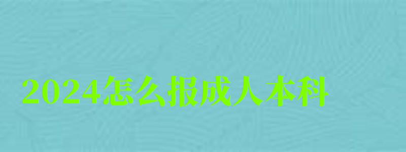 2024怎么报成人本科