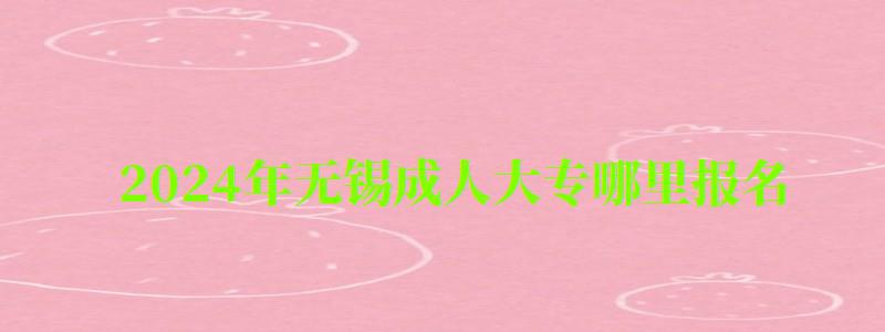 2024年无锡成人大专哪里报名