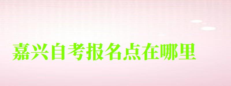 嘉兴自考报名点在哪里