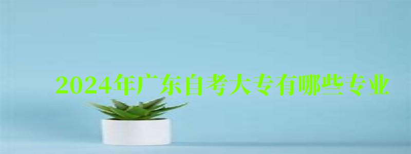 2024年广东自考大专有哪些专业