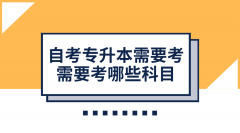 自考专升本需要考什么？需要考哪些科目？