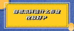 自考本科选什么专业比较好？看这里来了解