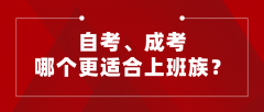 自考、成考，哪个更适合上班族？