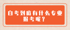 不少人纷纷加入自考行列，自考到底有什么专业报考呢？