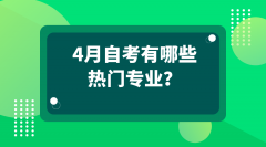 4月自考有哪些热门专业？就业方向如何？