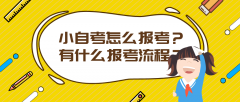 小自考怎么报考？有什么报考流程？