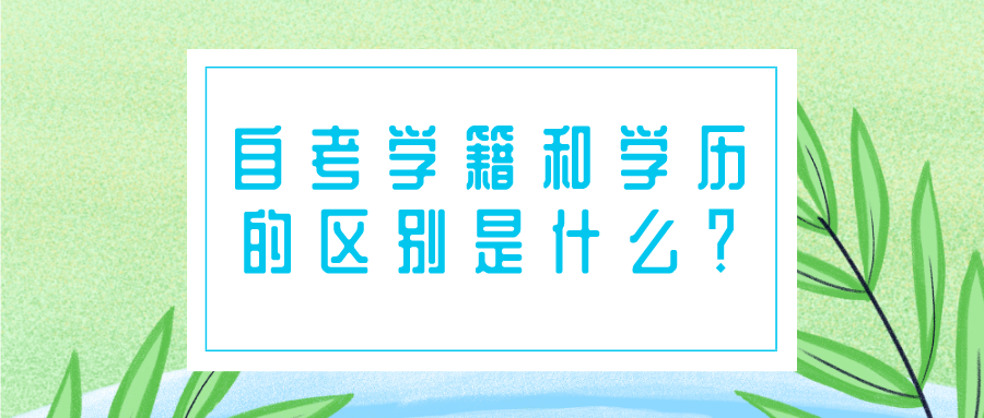 自考学籍和学历的区别是什么？自考有学籍吗？