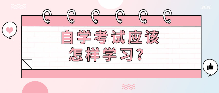 自学考试应该怎样学习？自考高效学习方法盘点