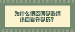 为什么很多同学选择小自考升学历？