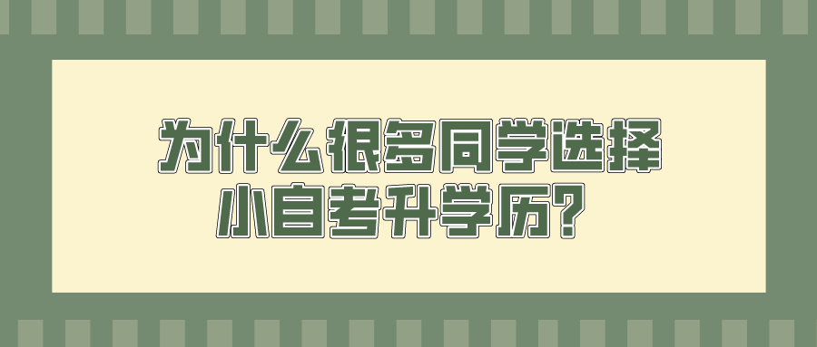 为什么很多同学选择小自考升学历？