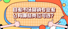 自考市场营销专业考公有哪些岗位可选择？