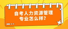 自考人力资源管理专业怎么样？就业前景如何？