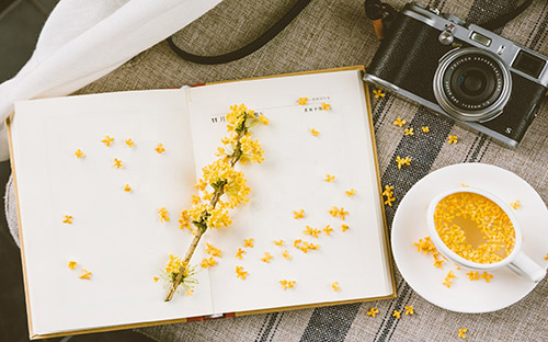 自考本科新生注册时