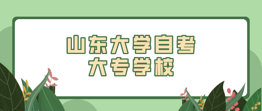山东大学自考大专学校