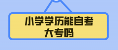 小学学历能自考大专吗