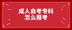 成人自考专科怎么报考